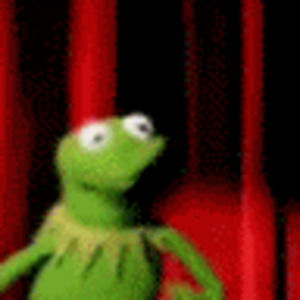 Meet your Posher, Benjamin